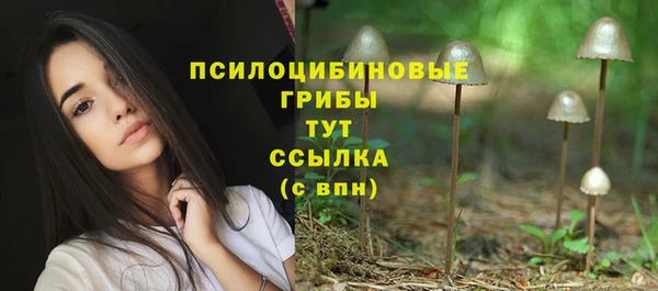 спиды Арсеньев