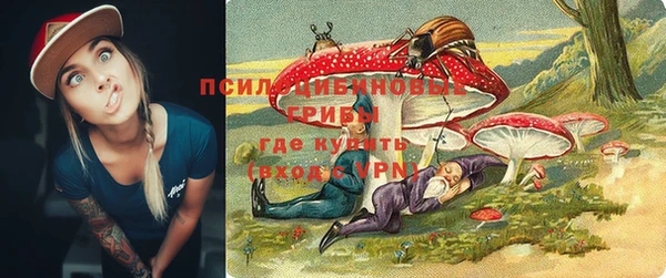гидропоника Аркадак